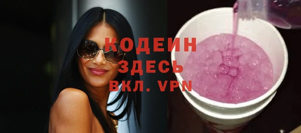 сатива Иннополис