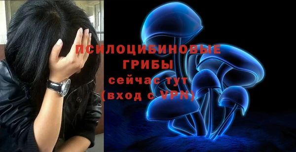 дмт Зеленокумск