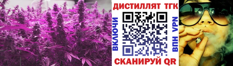 Купить где  Зубцов  ТГК концентрат 