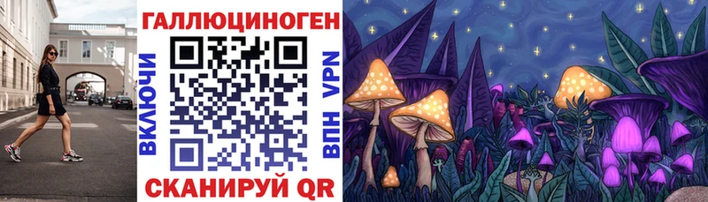 Купить закладки  Зубцов  Псилоцибиновые грибы MAGIC MUSHROOMS 