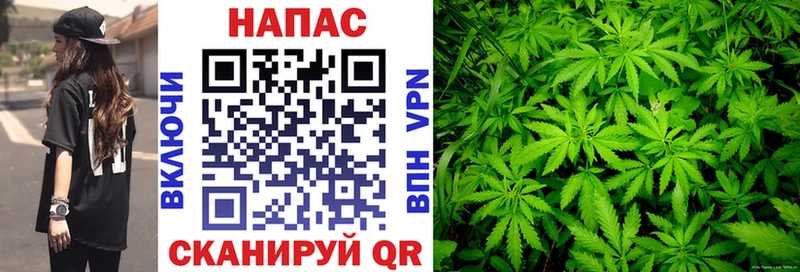 Конопля семена Зубцов